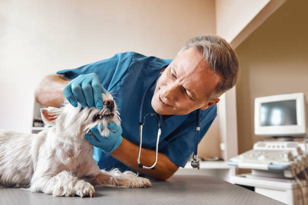 Best Same-Day Emergency Appointments in De Kal, TX